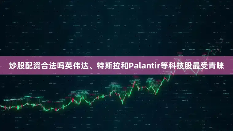 炒股配资合法吗英伟达、特斯拉和Palantir等科技股最受青睐