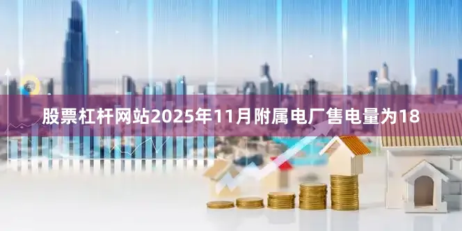 股票杠杆网站2025年11月附属电厂售电量为18