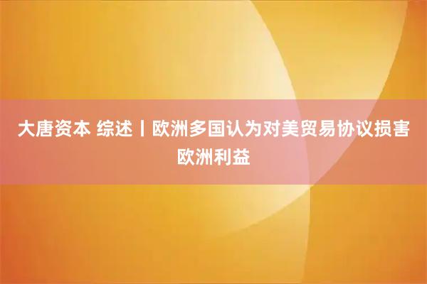 大唐资本 综述丨欧洲多国认为对美贸易协议损害欧洲利益