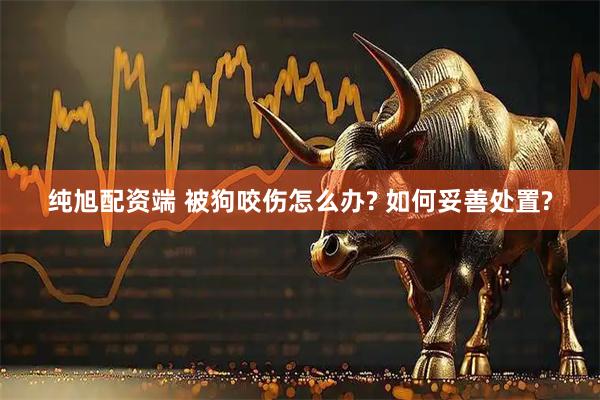 纯旭配资端 被狗咬伤怎么办? 如何妥善处置?