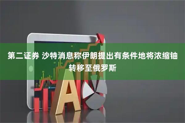 第二证券 沙特消息称伊朗提出有条件地将浓缩铀转移至俄罗斯