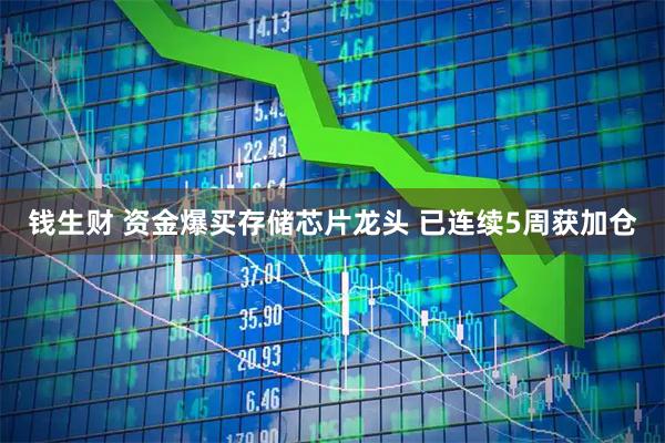 钱生财 资金爆买存储芯片龙头 已连续5周获加仓